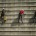 Por qué elegir trabajos verticales frente a andamios